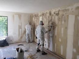 Best Biohazard Mold Removal  in Fairview, CA